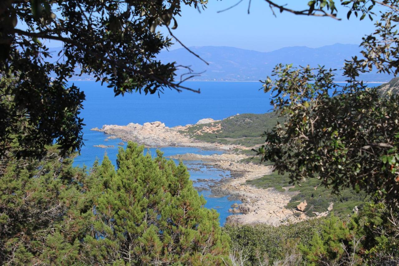 Villas Valinco San Martinu Corse Du Sud - Vue Et Proche Mer - Piscines-7 Chambres Ольмето Экстерьер фото
