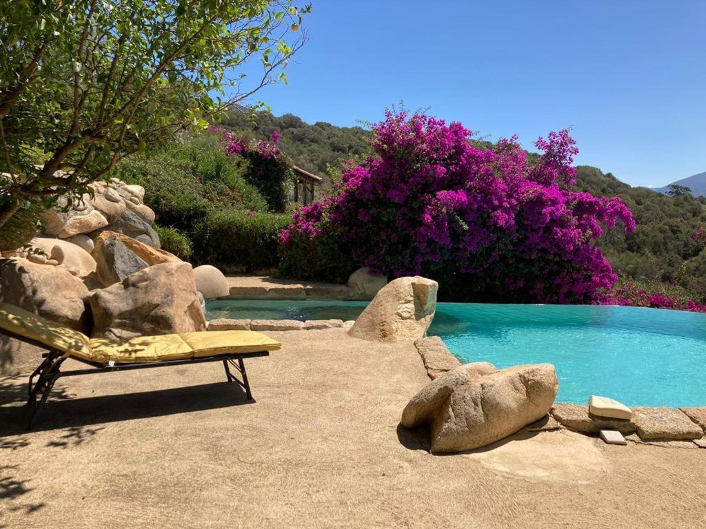 Villas Valinco San Martinu Corse Du Sud - Vue Et Proche Mer - Piscines-7 Chambres Ольмето Экстерьер фото